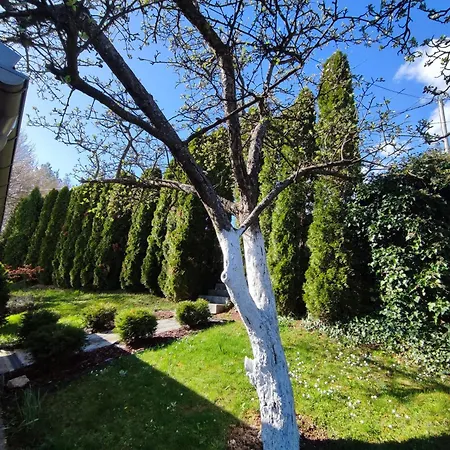 Nyaraló Garden House