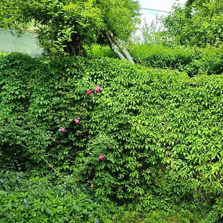 Garden House
