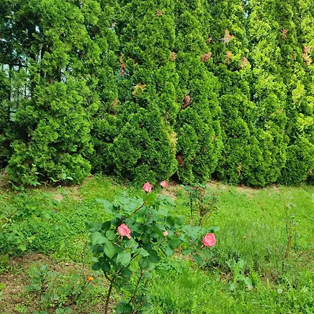 Holiday home Garden House Sarajevo