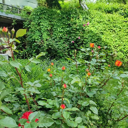 Garden House Sarajevo