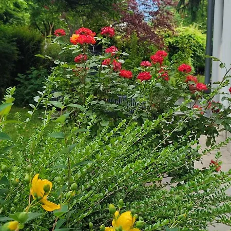 Garden House Szarajevó