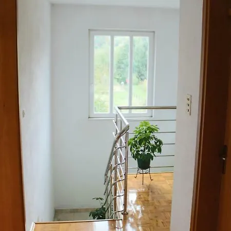 Villa Garden House Pazaric